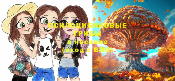 мяу мяу мука Усинск