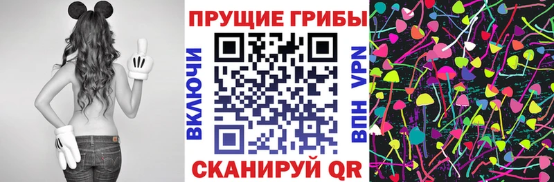 Галлюциногенные грибы GOLDEN TEACHER хочу Большой Камень