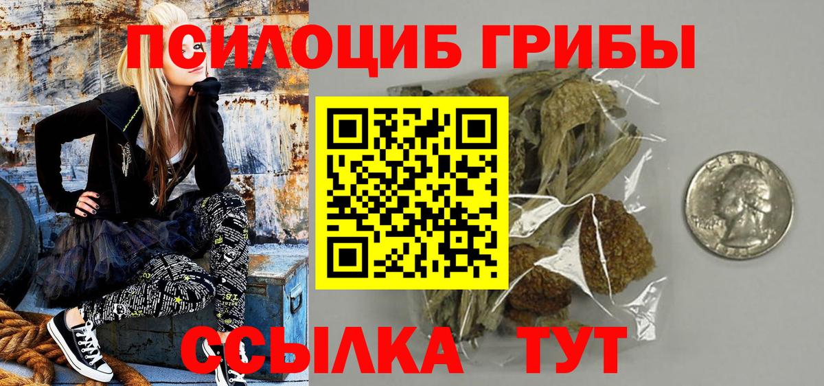 Галлюциногенные грибы мухоморы  Большой Камень 