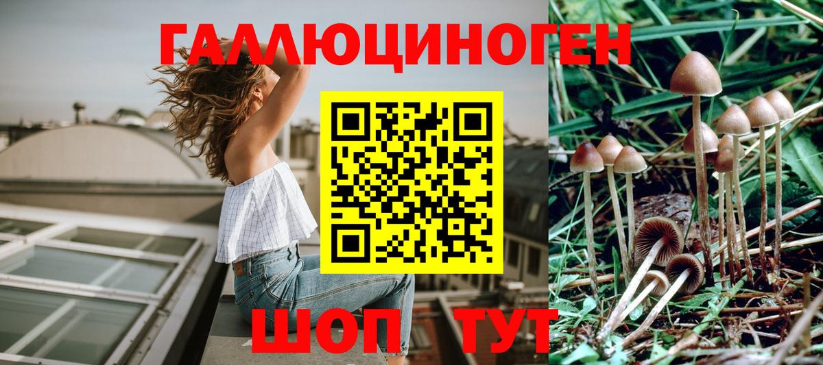 Большой Камень  Галлюциногенные грибы MAGIC MUSHROOMS  Псилоцибиновые грибы прущие грибы  Вход с VPN 