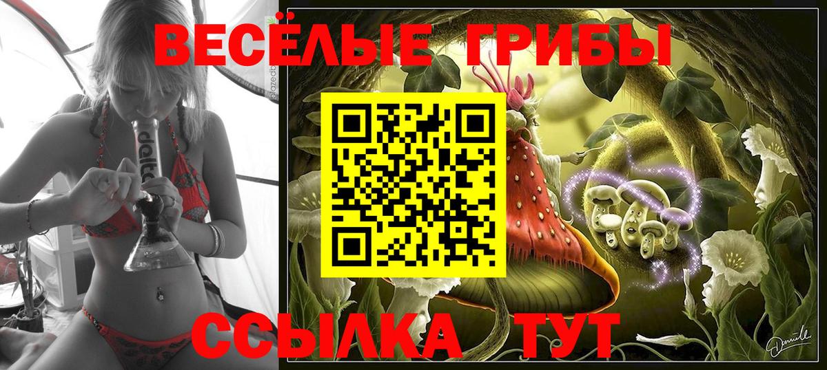 Псилоцибиновые грибы Psilocybe Большой Камень