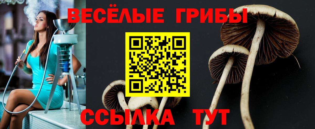 Галлюциногенные грибы мухоморы Большой Камень